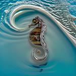 Hippocampe, pendentif en ambre et argent