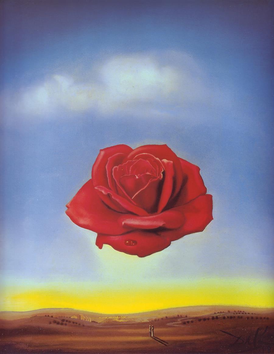 Pòster "Rosa meditativa", 1958 | 112300000 | Salvador Dalí | Botiga online Dalí Figueres | Llibreria Surrealista