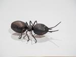 Surrealist Ant