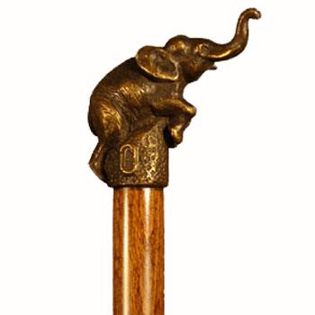 Elephant Walking Stick