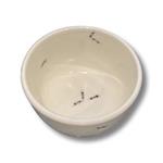 Bowl with Ants