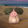Porte-lunettes en forme de cochon | 987 | Salvador Dalí | Botiga online Dalí Figueres | Surrealismstore
