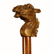 Canne Cheval | FI6216 | Salvador Dalí | Botiga online Dalí Figueres | Surrealismstore