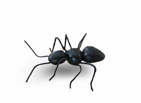 Hormiga surrealista | 000256 | Salvador Dalí | Tienda online Dalí Figueres | Librería Surrealista